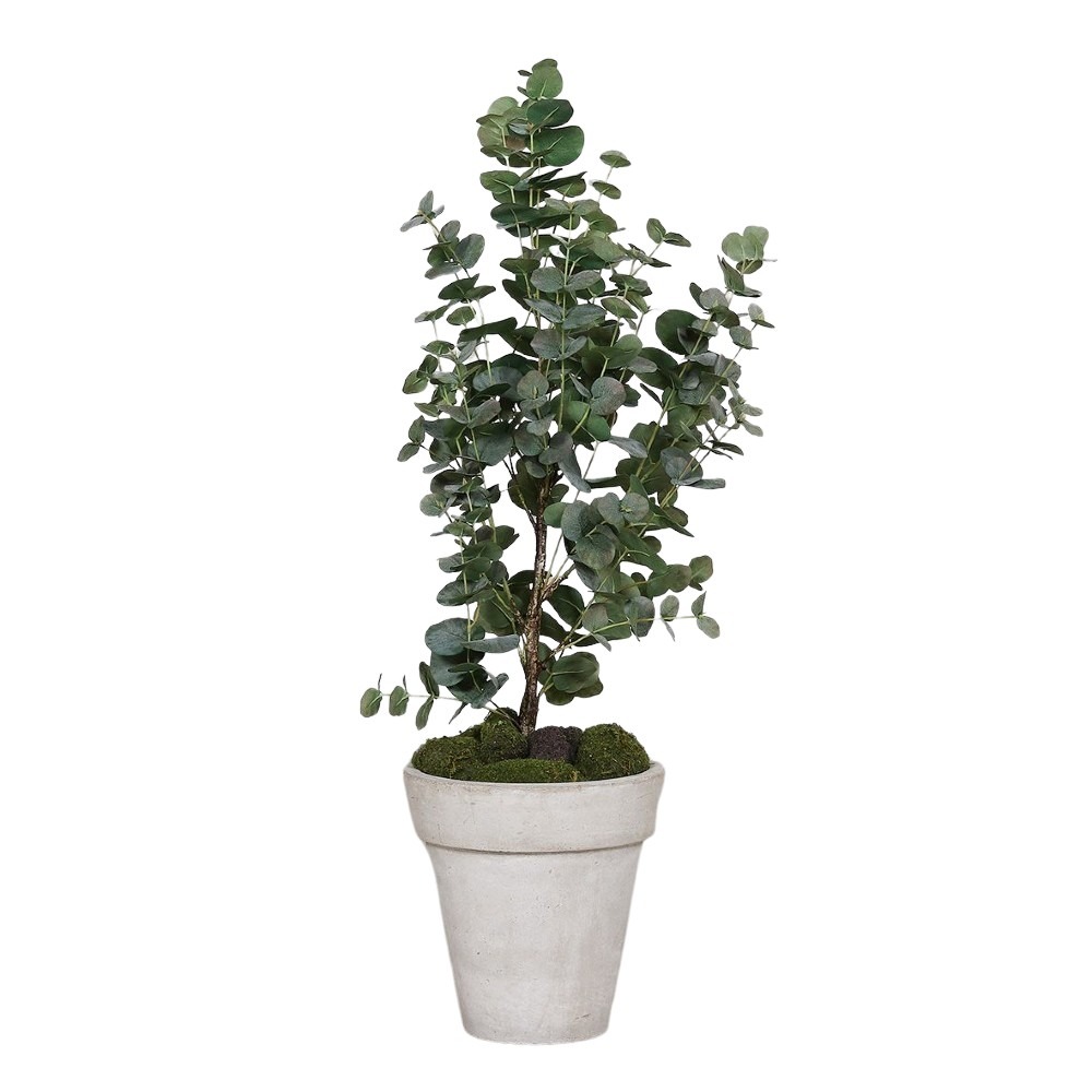 Drzewko-Eukaliptus-Produkt-Premium-90-cm.jpg