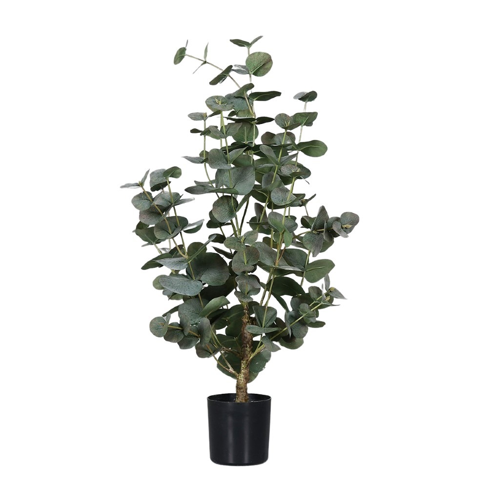 Drzewko-Eukaliptus-Produkt-Premium-70-cm.jpg