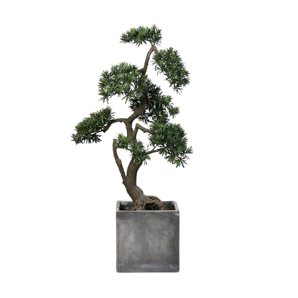 bonsai-124-cm.jpg