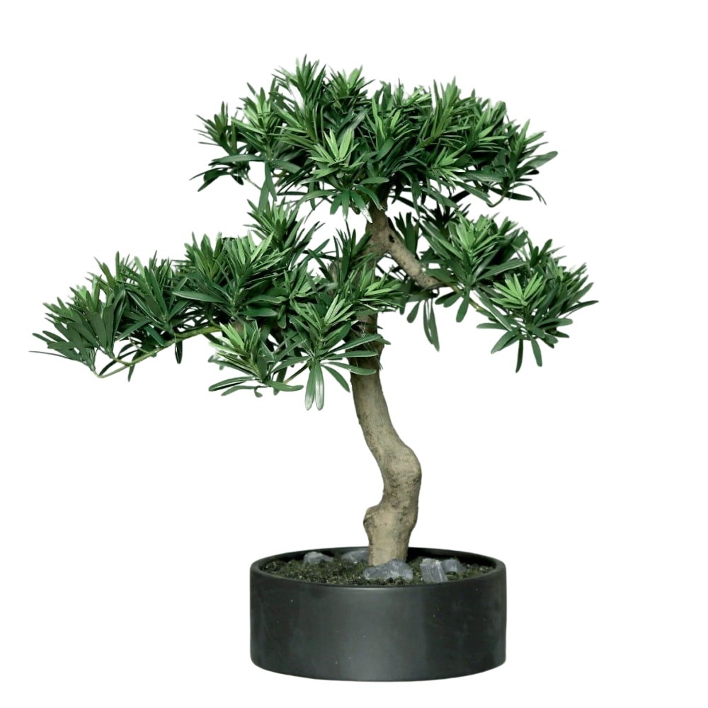 bonsai-40-cm.jpg