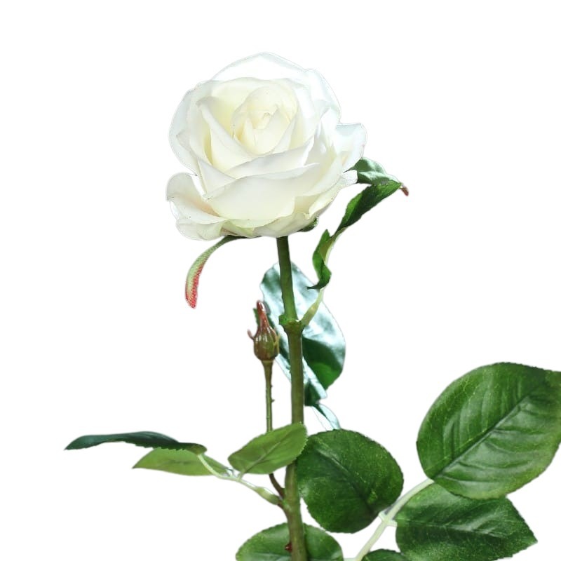 roza-66-cm-naturalna-w-dotyku-biala-k.jpg