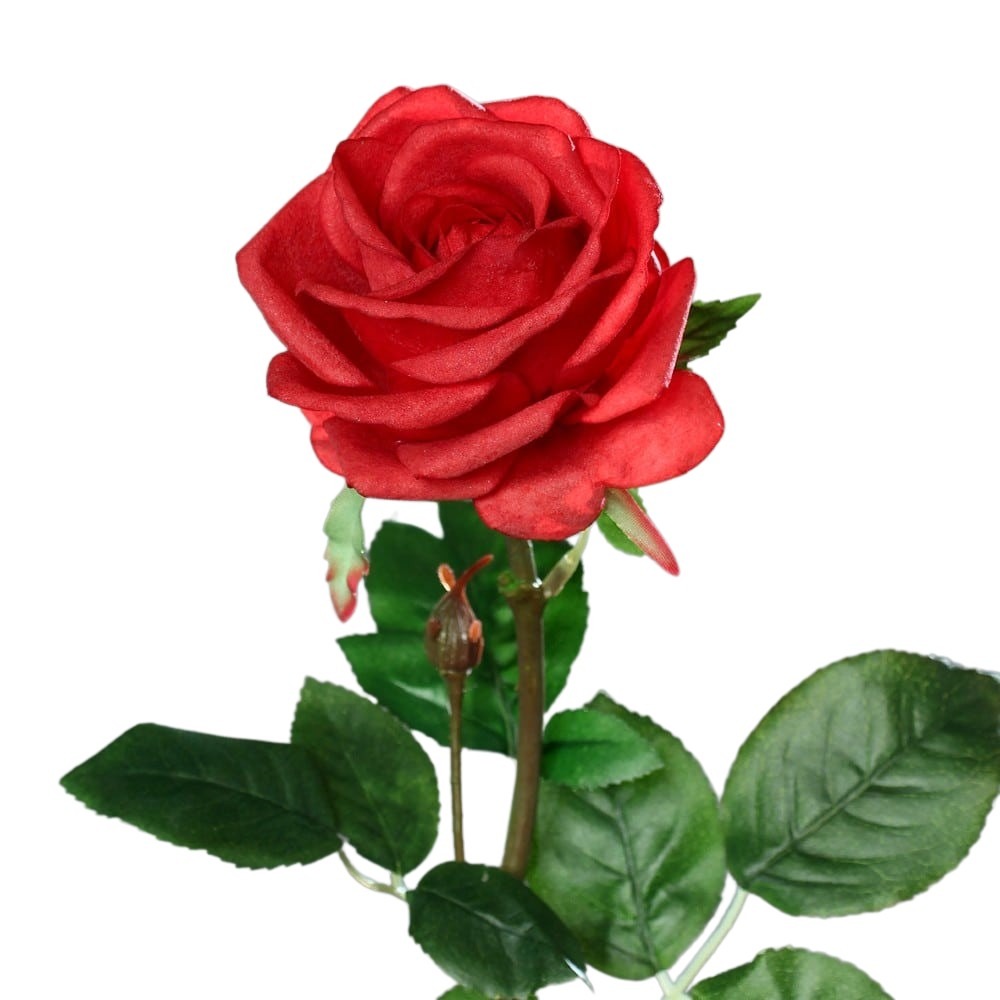 roza-66-cm-naturalna-w-dotyku-czerwona-k.jpg