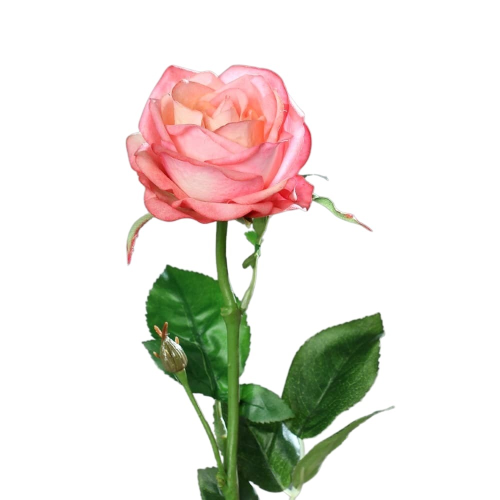roza-66-cm-naturalna-w-dotyku-rozowa-k.jpg