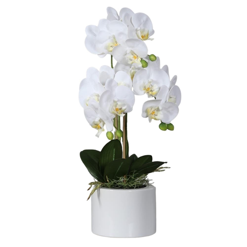 sztuczna-orchidea-w-bialej-donicy-55-cm.jpg