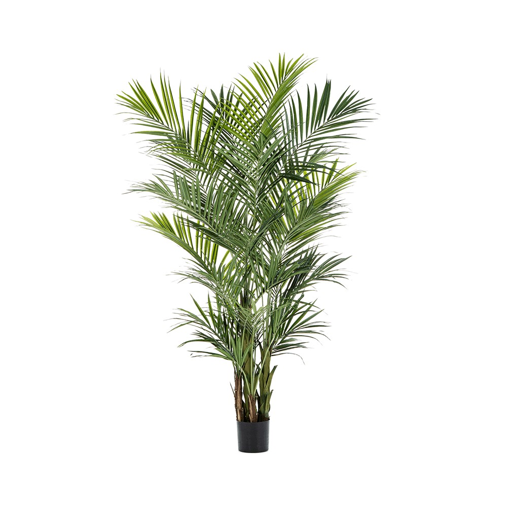 sztuczna-palma-kentia-260-cm.jpg